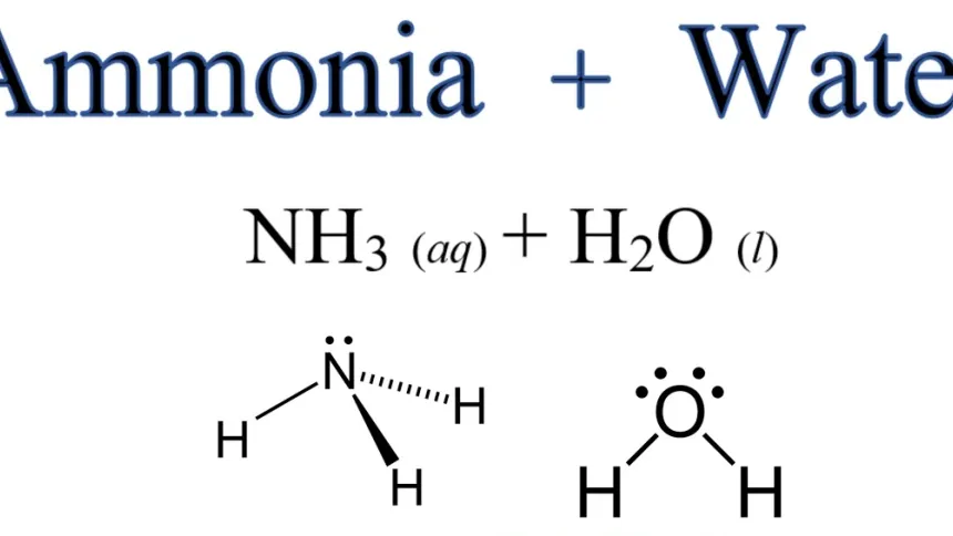 Ammonia plus water written as NH3 (aq) + H2O (l), with Lewis structures of both molecules