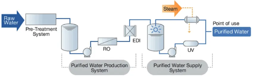 Flow diagram of a purified water system from raw water through pre-treatment, RO, EDI, storage and UV to the point of use